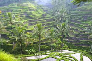 Viajar a Bali 7 sitios imperdibles que ver