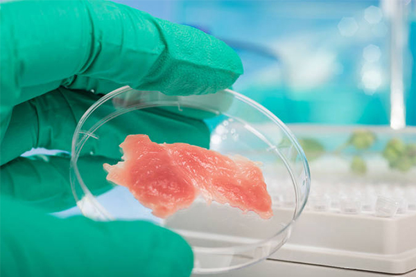 Singapur aprueba la carne de laboratorio hecha con células de pollo